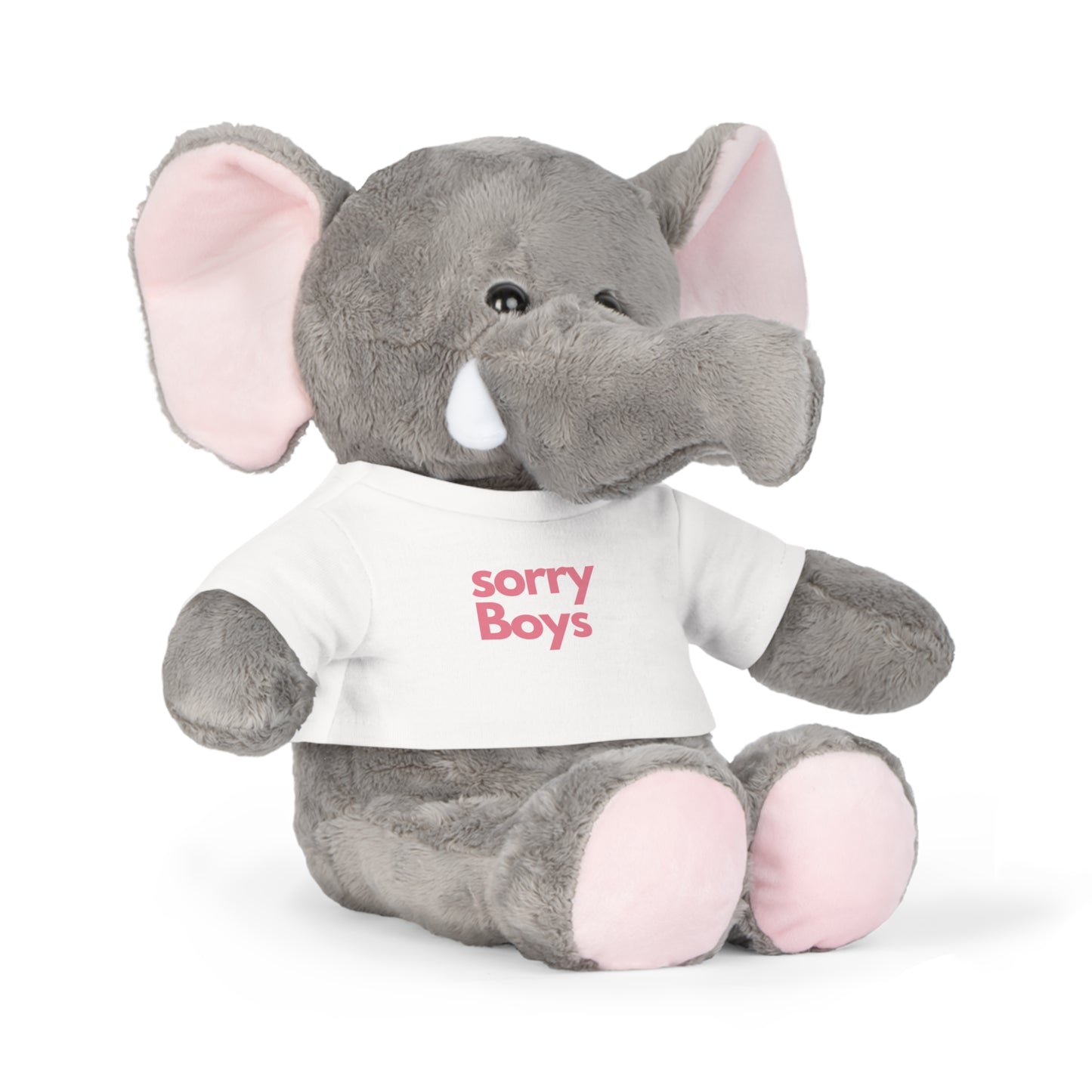Bundle JGA Shirts Frauen - Sorry Boys